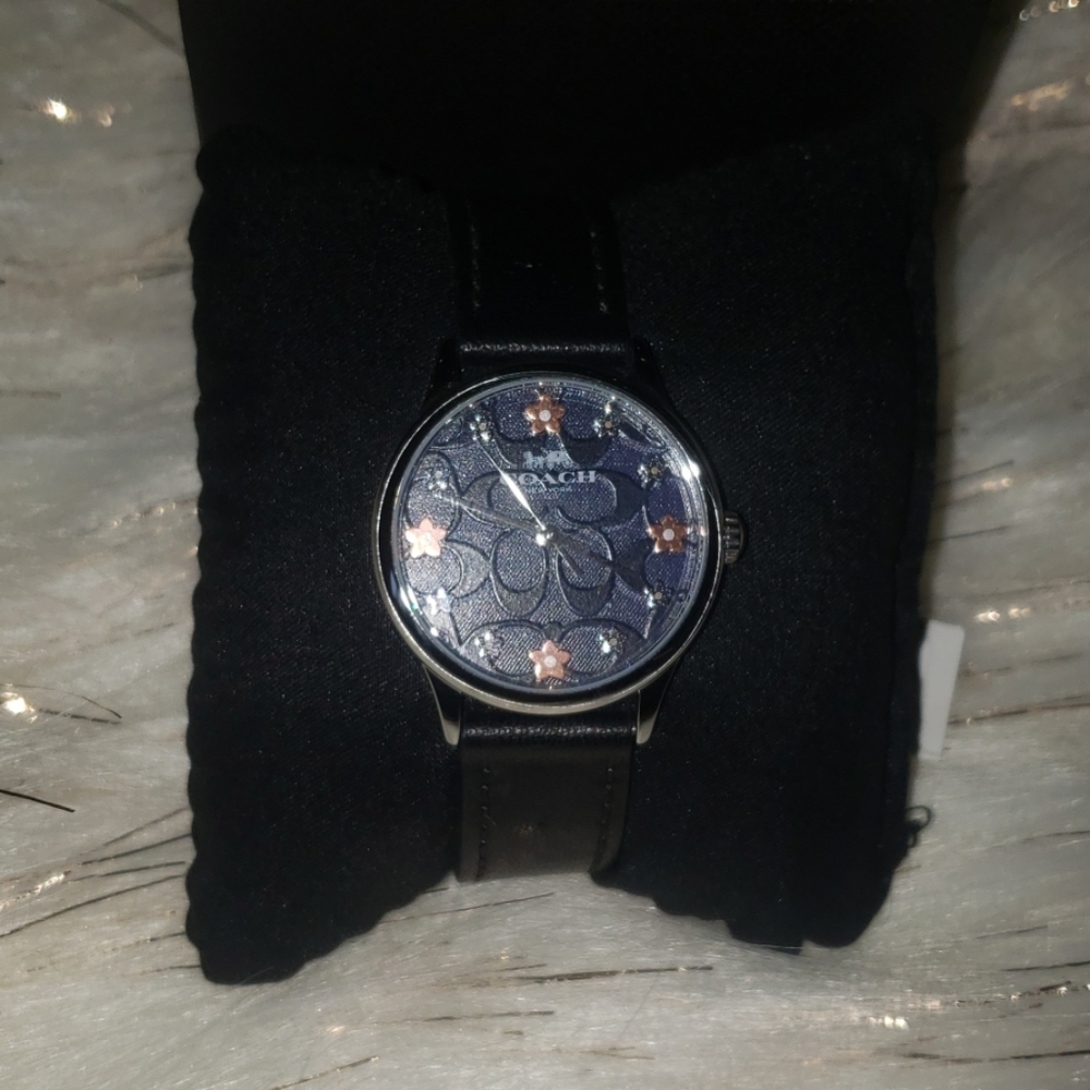 NWT Coach watch